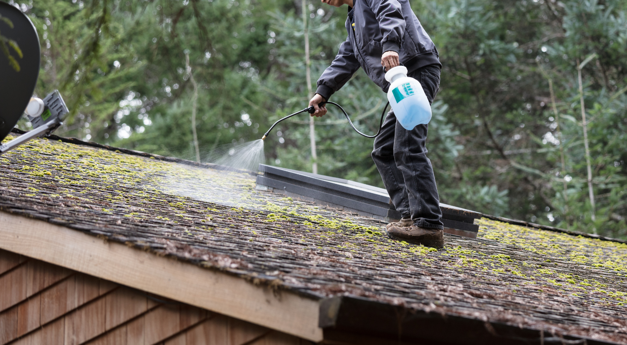 Design sans titre (7)