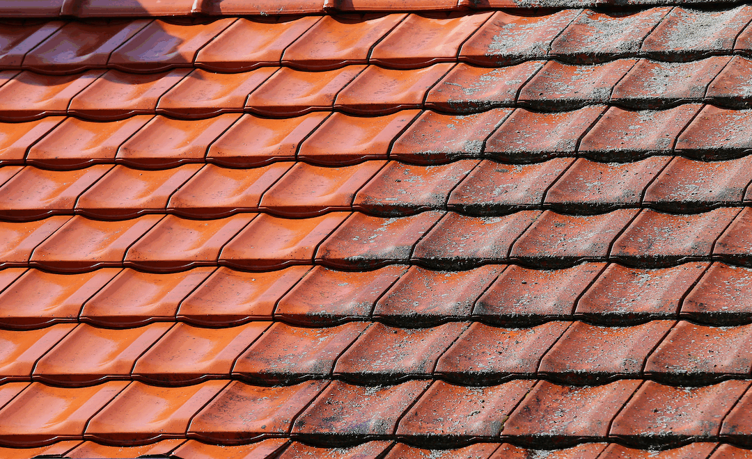 Démoussage d’un toit à Auch