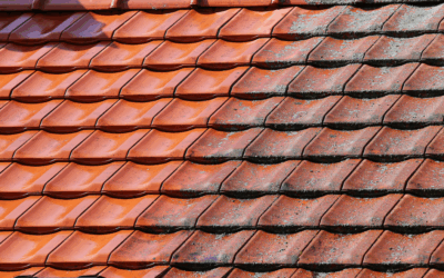 Démoussage d’un toit à Auch